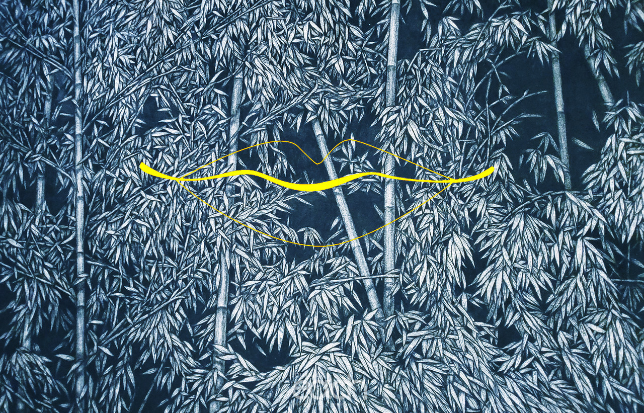 이미지 제공 - 박미애 사진가