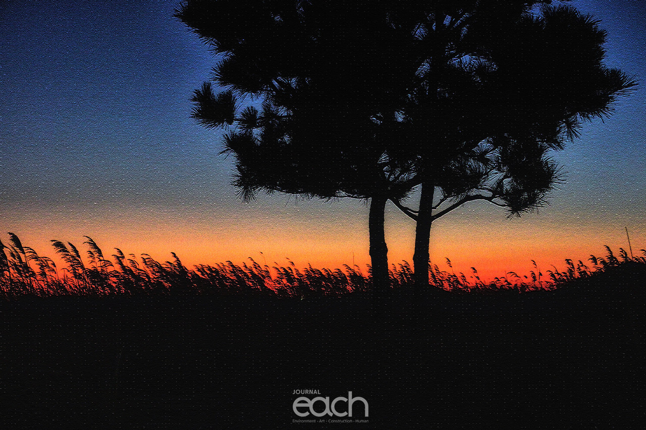 이미지 제공 - 박미애 사진작가