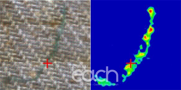 (좌) 미세플라스틱 현미경 관찰(Fiber 형태), (우) FT－IR로 분석한 미세플라스틱 (자료제공 : 경기도)