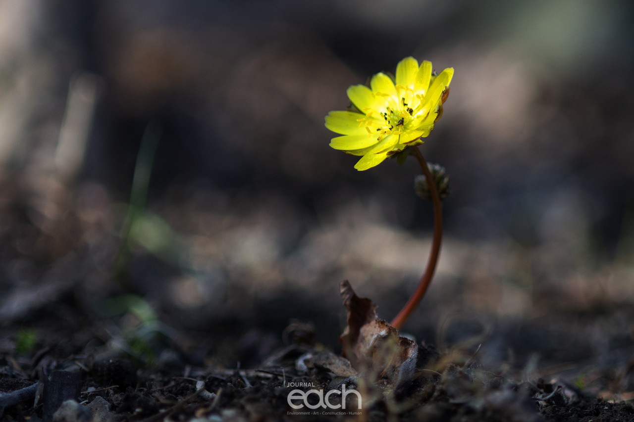 이미지 제공 - 박미애 사진작가