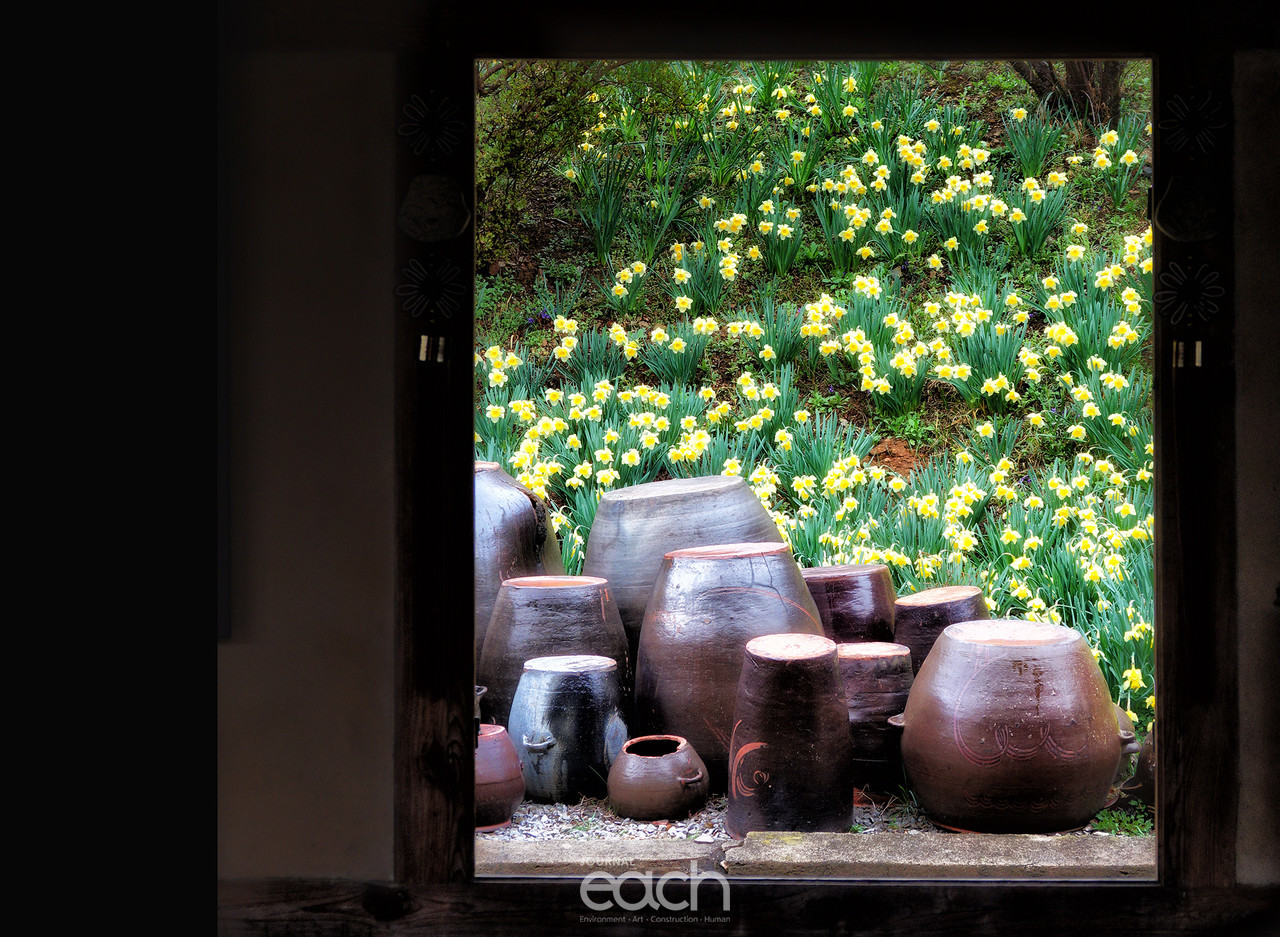 이미지 제공 - 박미애 사진작가