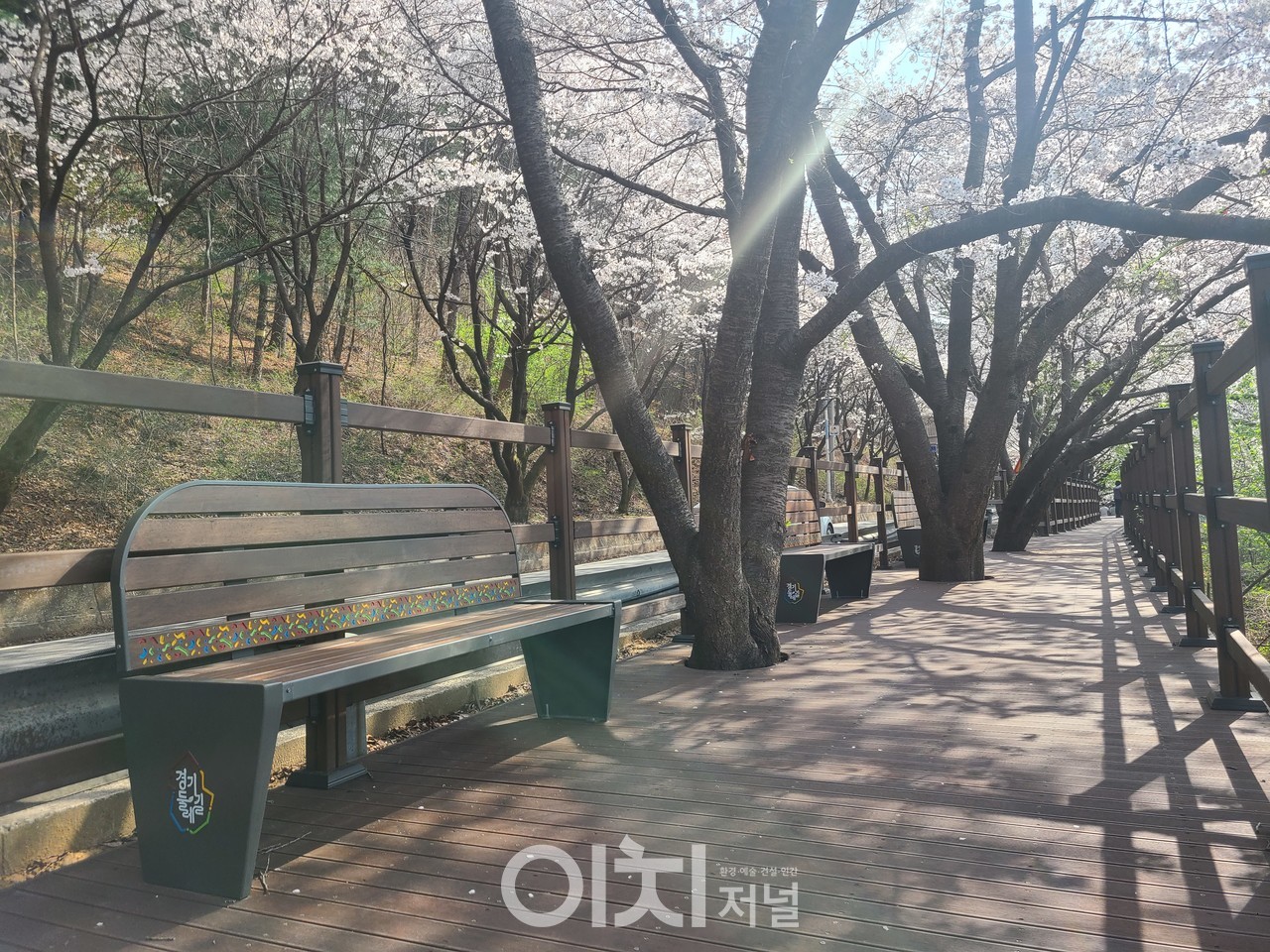 가평 23코스 삼회리 벚꽃길 (자료제공 : 경기도)