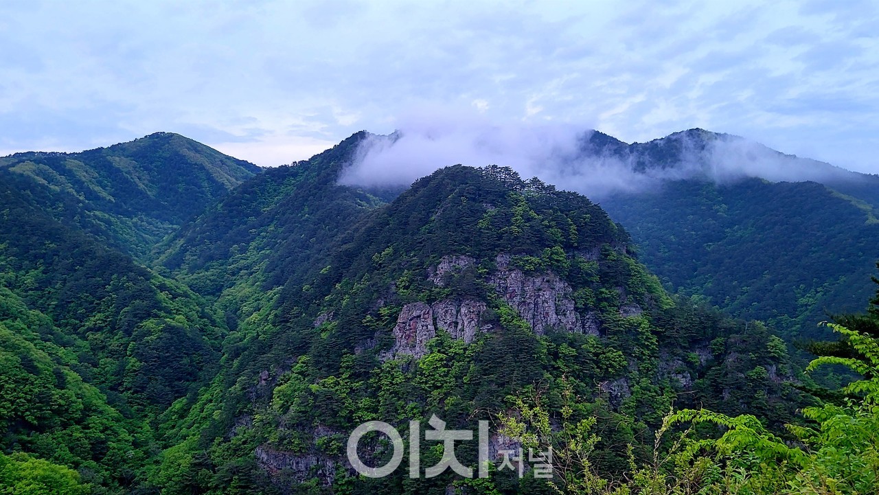  ⓒ이미지 제공 - 박미애 사진작가