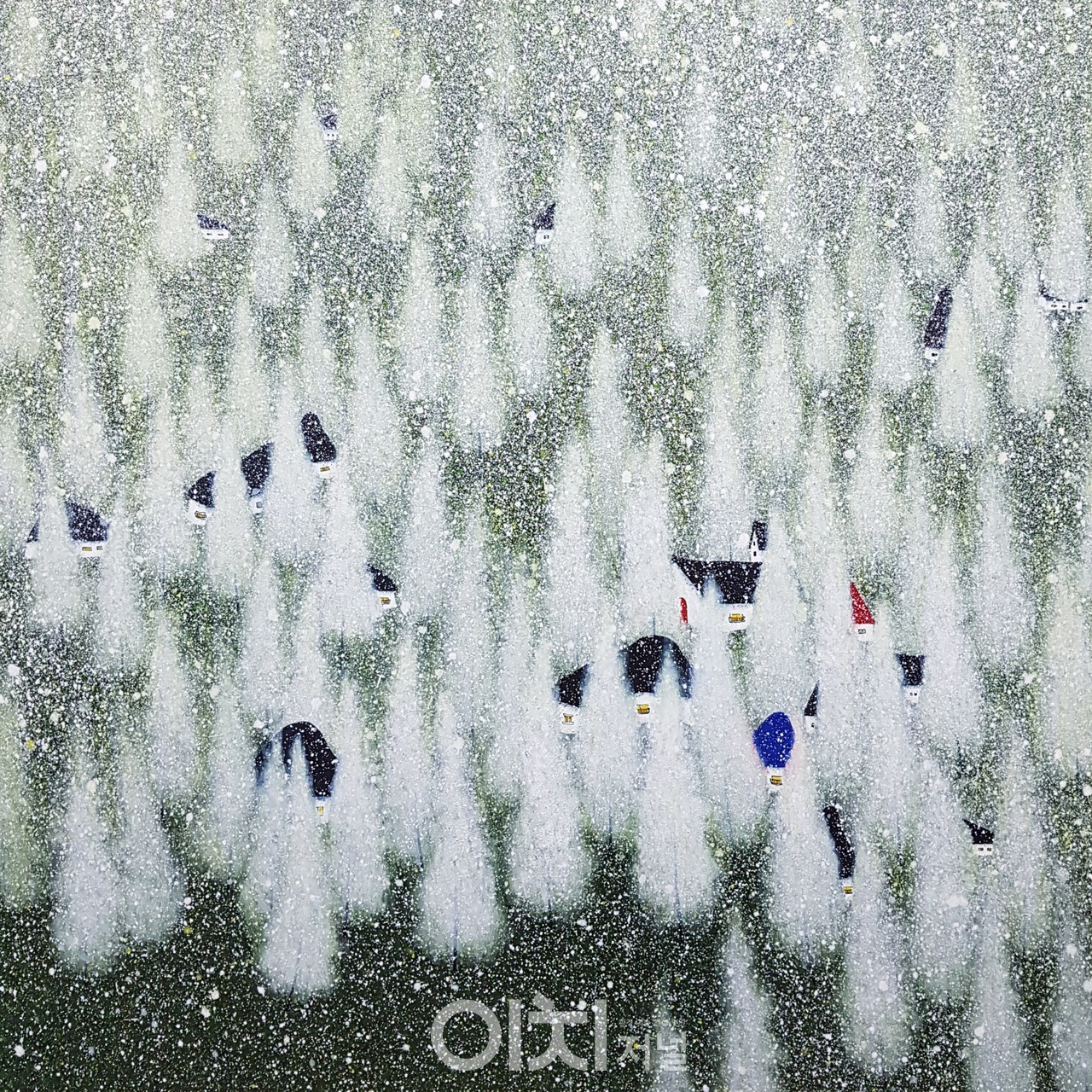 작 품 명: 20꿈에 물들다 크 기: 97×97재 료: Mixed Media 제작연도: 2020