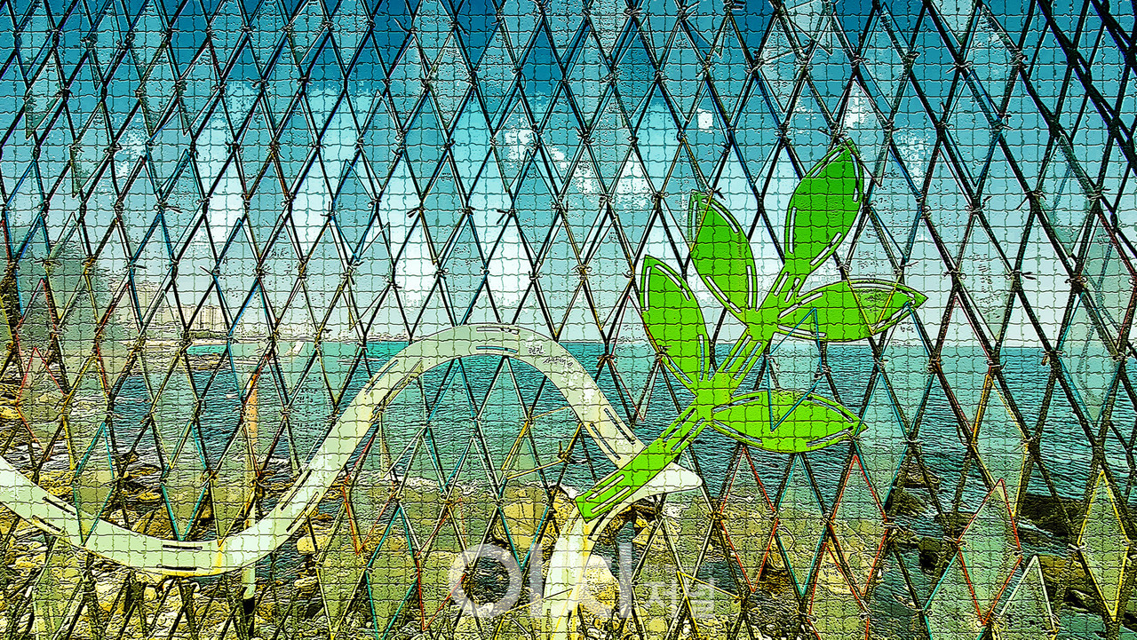 ⓒ이미지 제공 - 박미애 사진작가