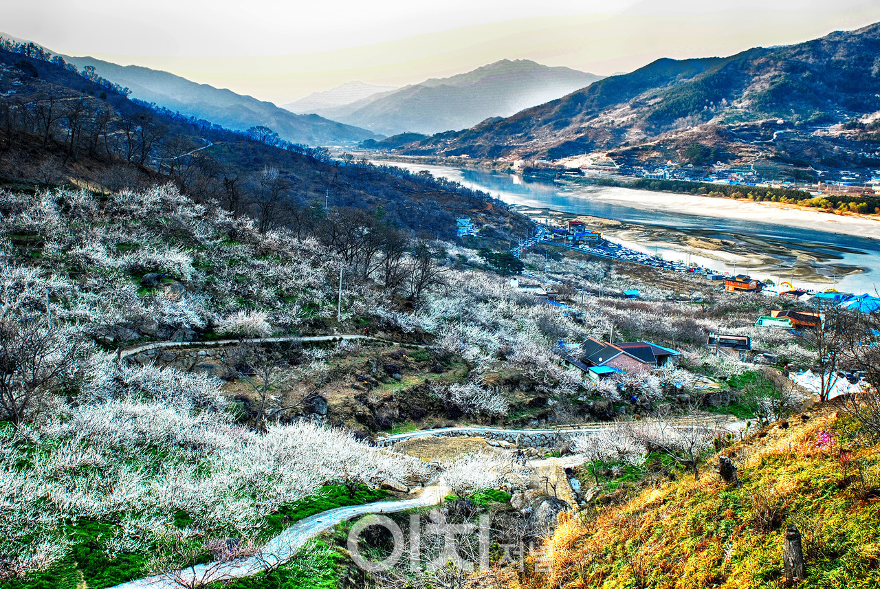 ⓒ이미지 제공 - 박미애 사진작가