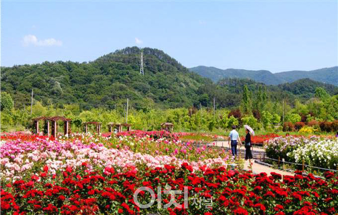 해운대수목원 장미원 (자료제공 : 부산시)