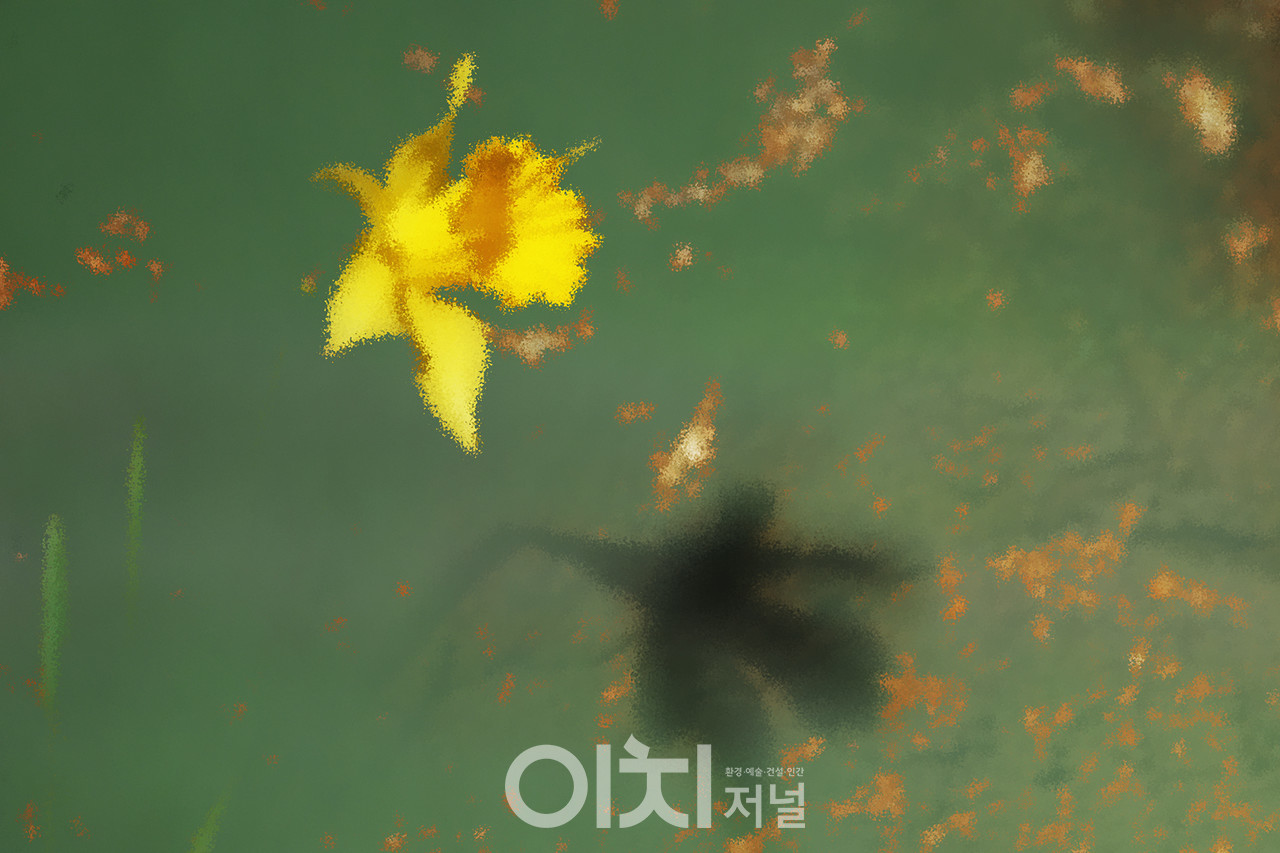 ⓒ 이미지 제공 - 박미애 사진작가 