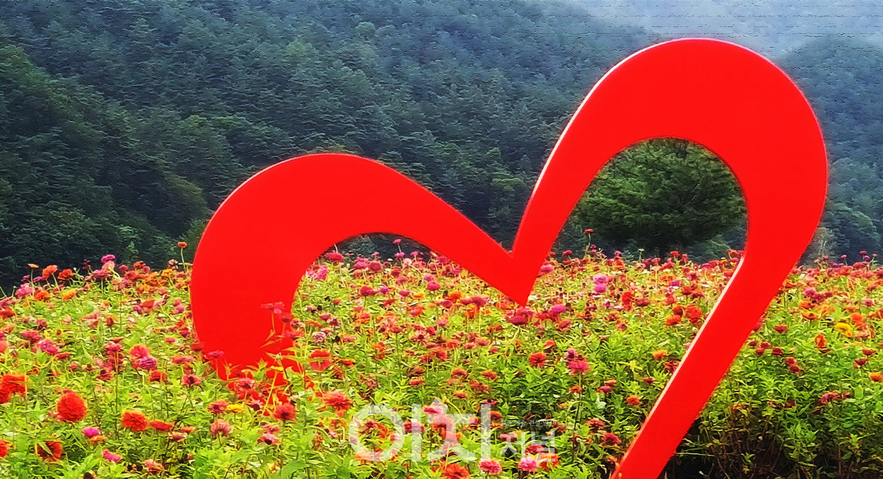 ⓒ이미지 제공 - 박미애 사진작가