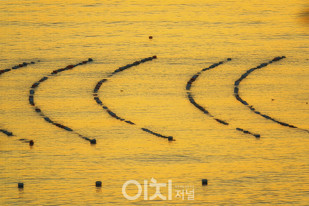 ⓒ이미지 제공 - 박미애 사진작가