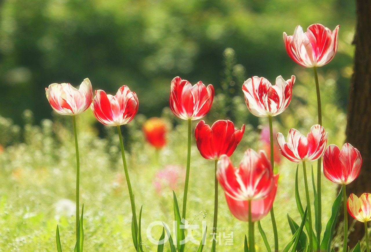 ⓒ이미지 제공 - 박미애 사진작가