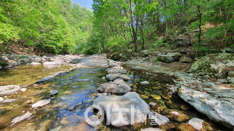 가평 연인산 명품계곡길 (자료제공 : 경기도)