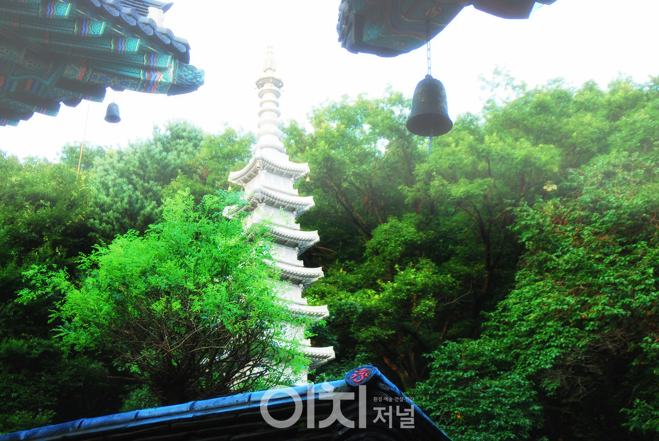 ⓒ이미지 제공 - 박미애 사진작가