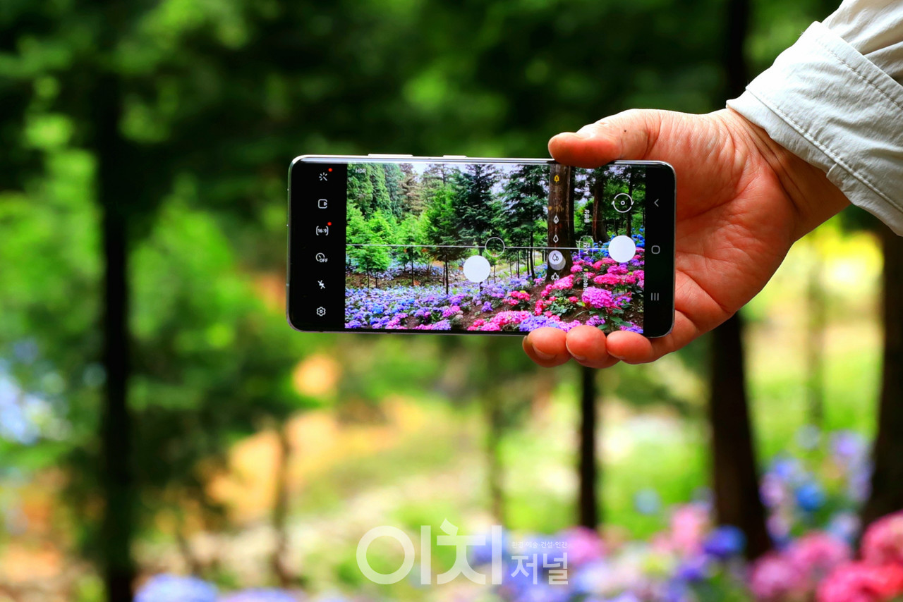 ⓒ김옥진 사진작가