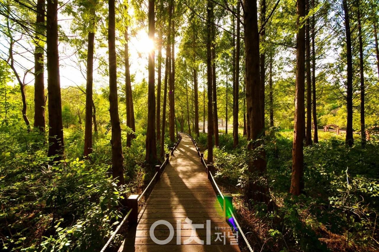 물향기수목원 (자료제공 : 경기도)