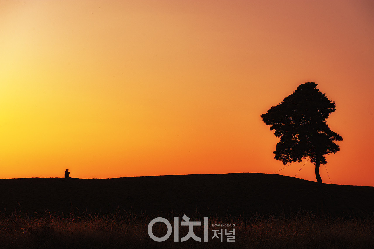 ⓒ이미지 제공 - 박미애 사진작가