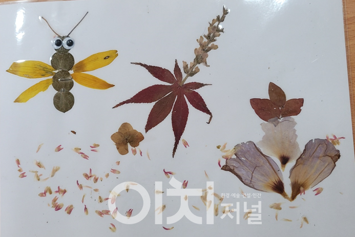 자연물로 장식물 만들기(꽃잎과 나뭇잎으로 액자 만들기) (자료제공 : 서울시)