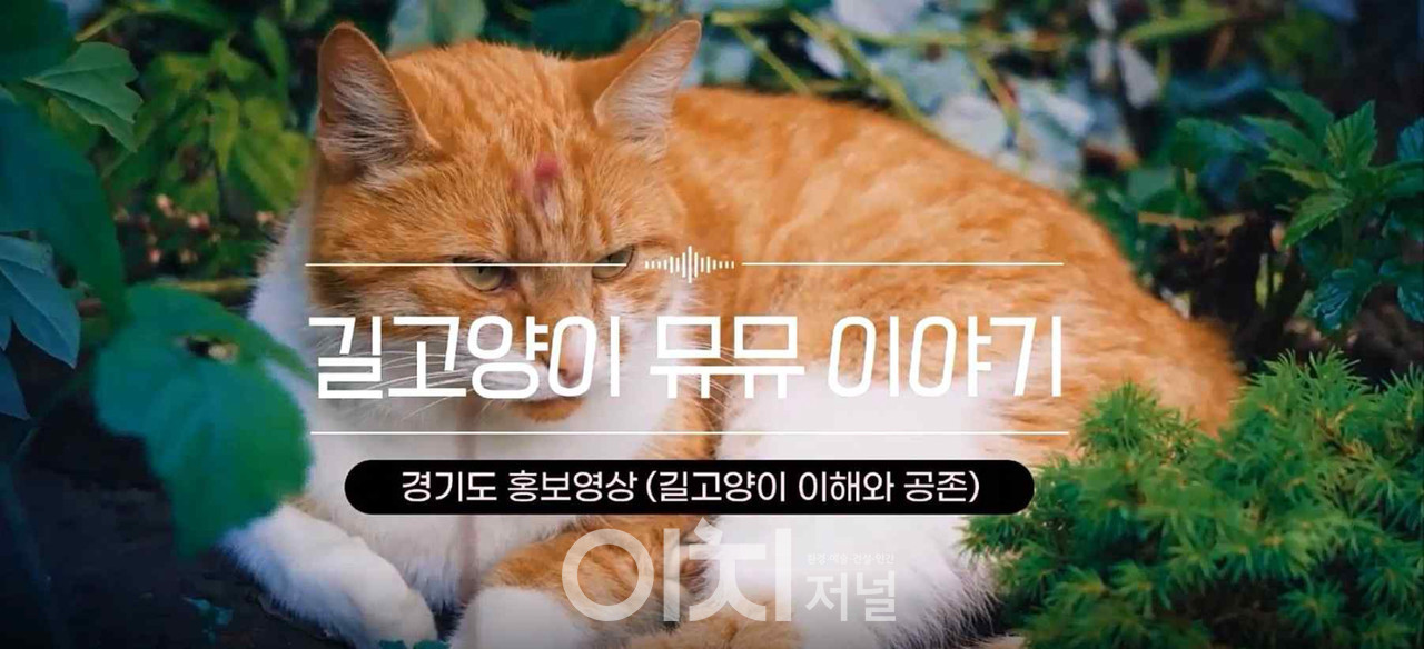 유기동물 인식개선 '길고양이 뮤뮤 이야기' (자료제공 : 경기도)
