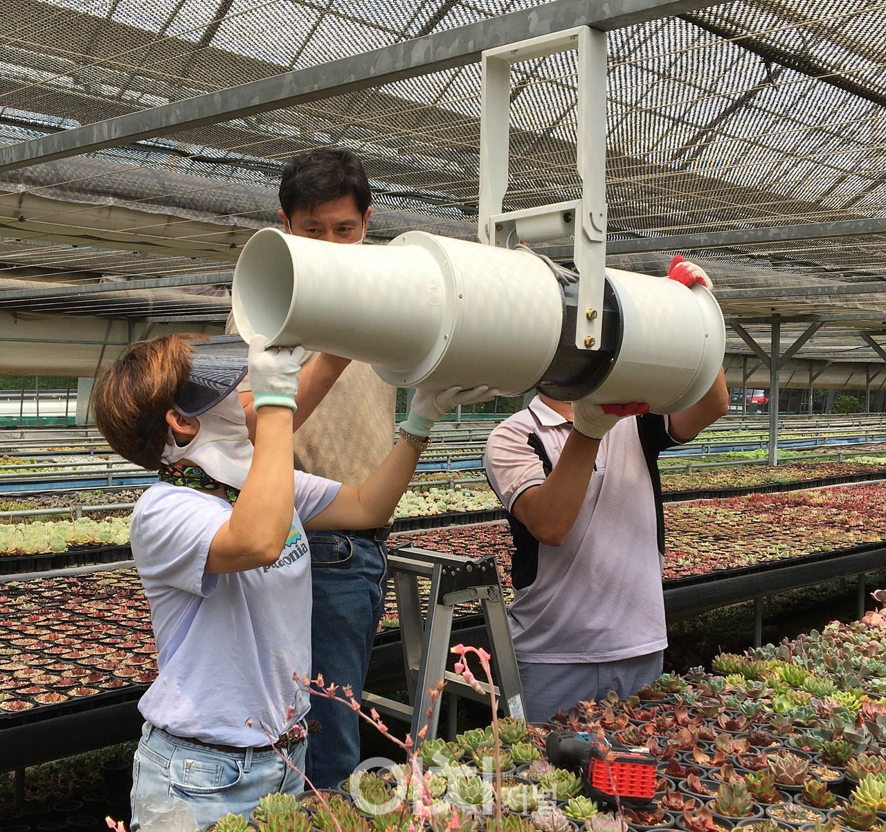 다육식물 시설하우스내 제트팬 설치 (자료제공 : 경기도)