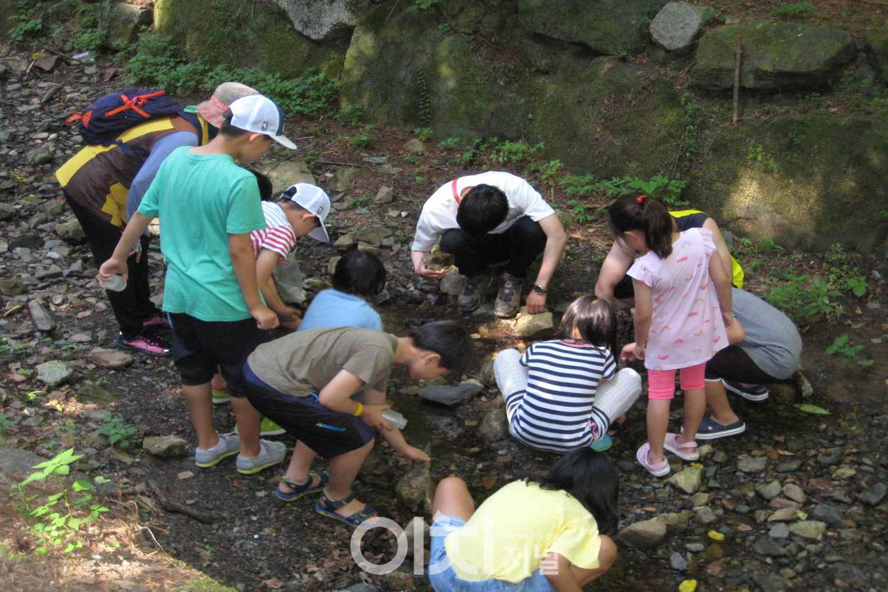 2018년 휴양림 가족캠프(식물관찰탐구) (자료제공 : 대전시)