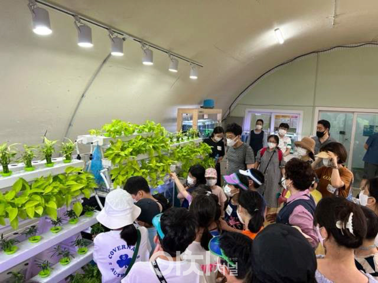 여름철 어린이 자연학교 현장 (자료제공 : 서울시)