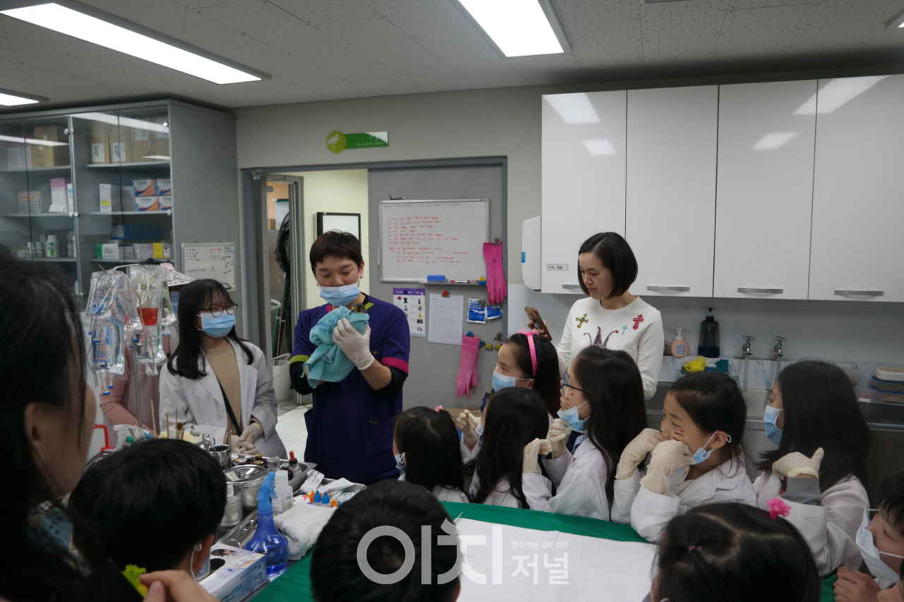 야생동물이야기 (자료제공 : 부산시)