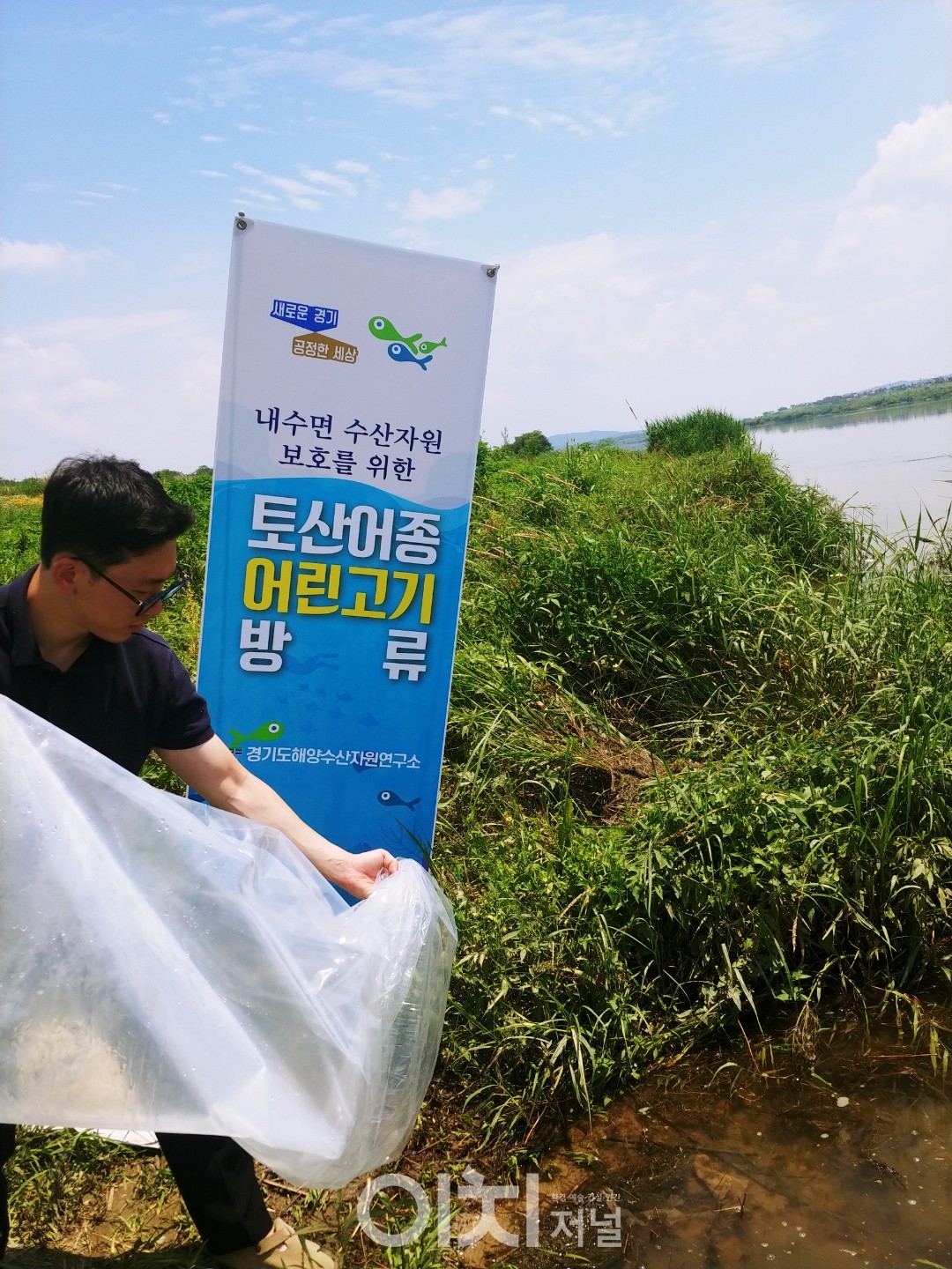 쏘가리 치어 방류 현장 (자료제공 : 경기도해양수산자원연구소)