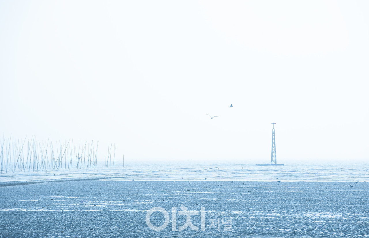 ⓒ 이미지 제공 - 박미애 사진작가