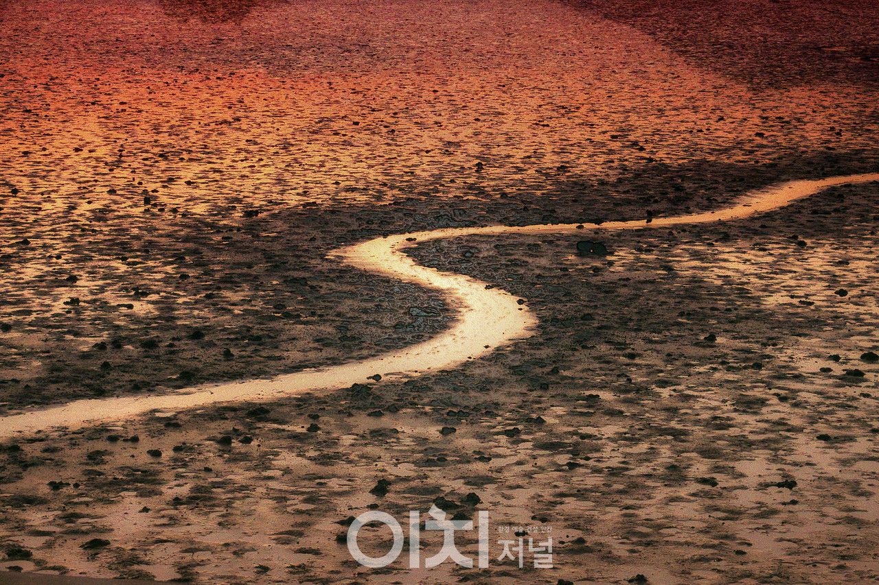 ⓒ 이미지 제공 - 박미애 사진작가