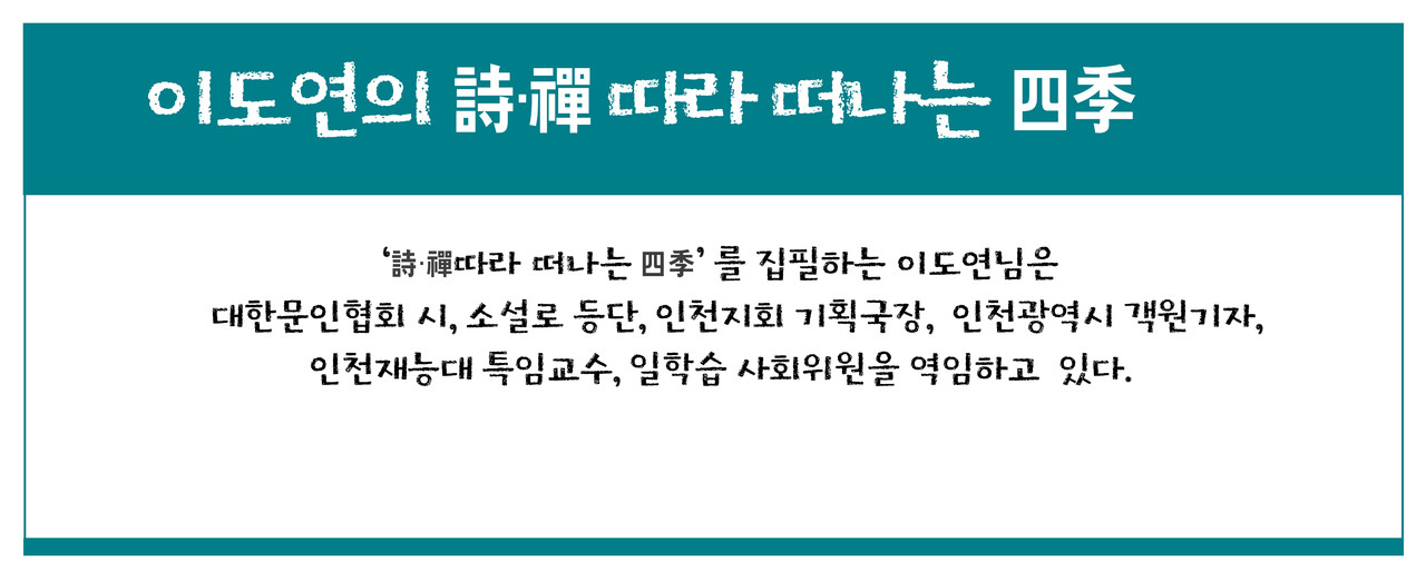 음악이흐르는소나기 이미지