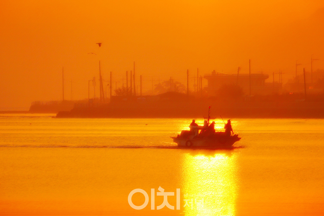  ⓒ이미지 제공 - 박미애 사진작가