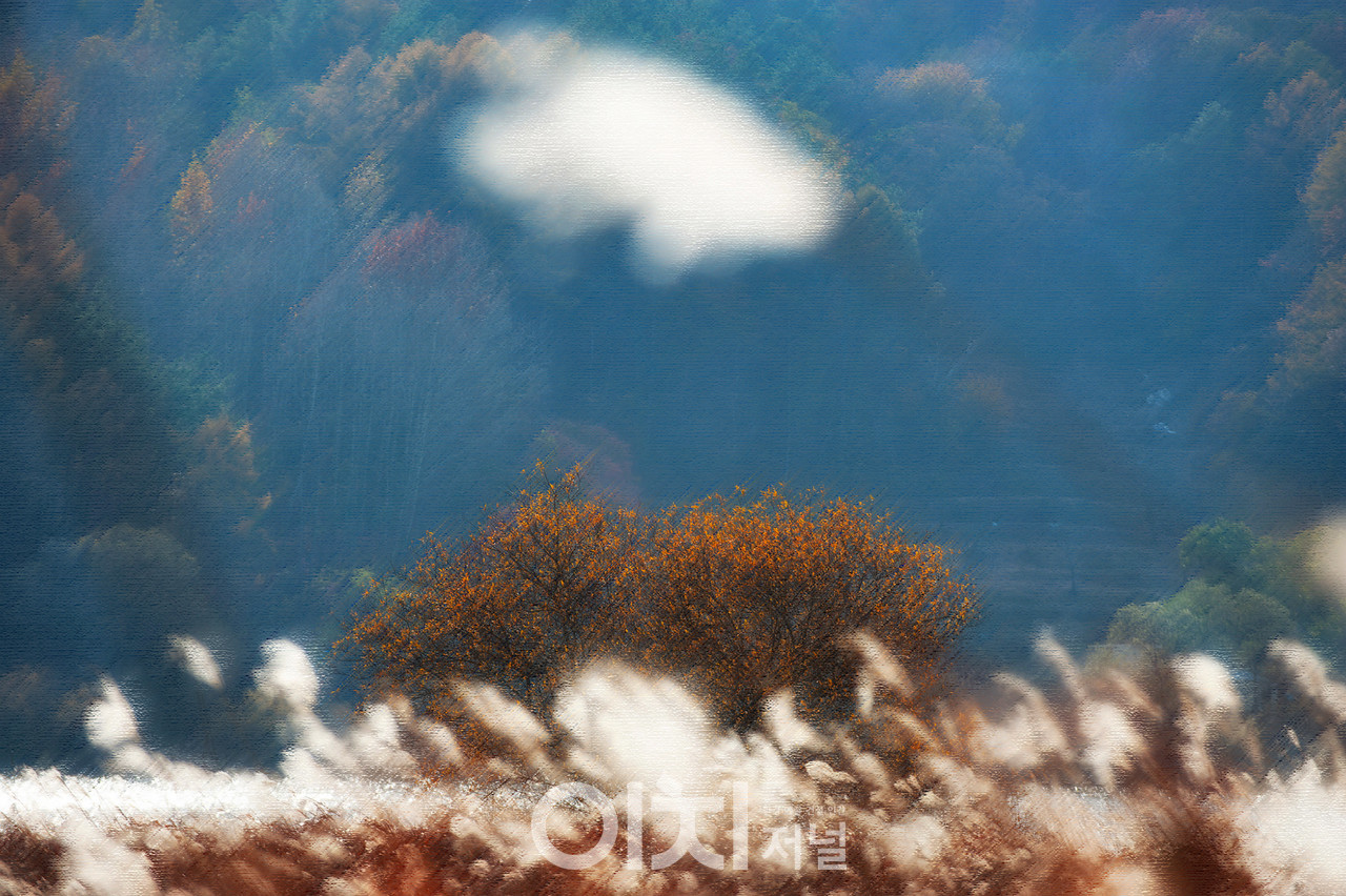  ⓒ 이미지 제공 - 박미애 사진작가