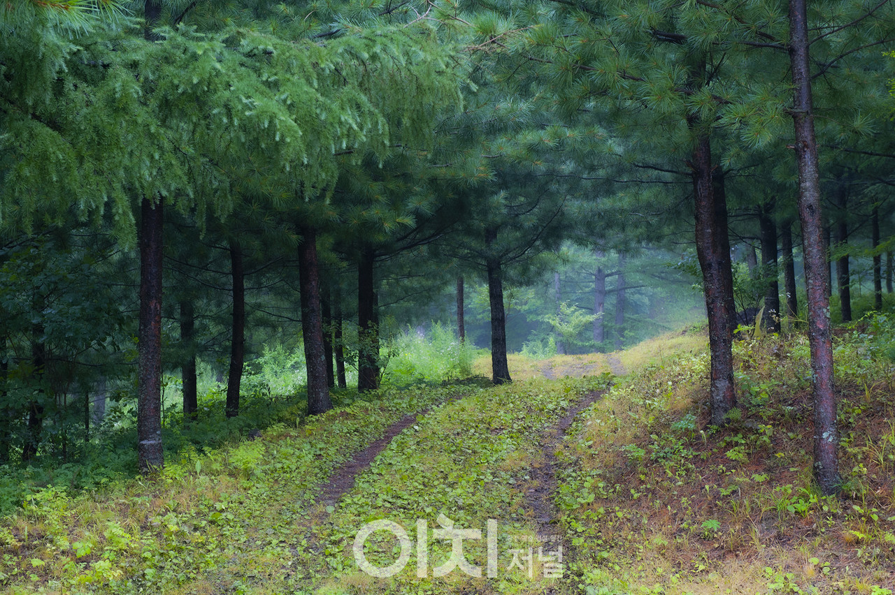 ⓒ 이미지 제공 - 박미애 사진작가