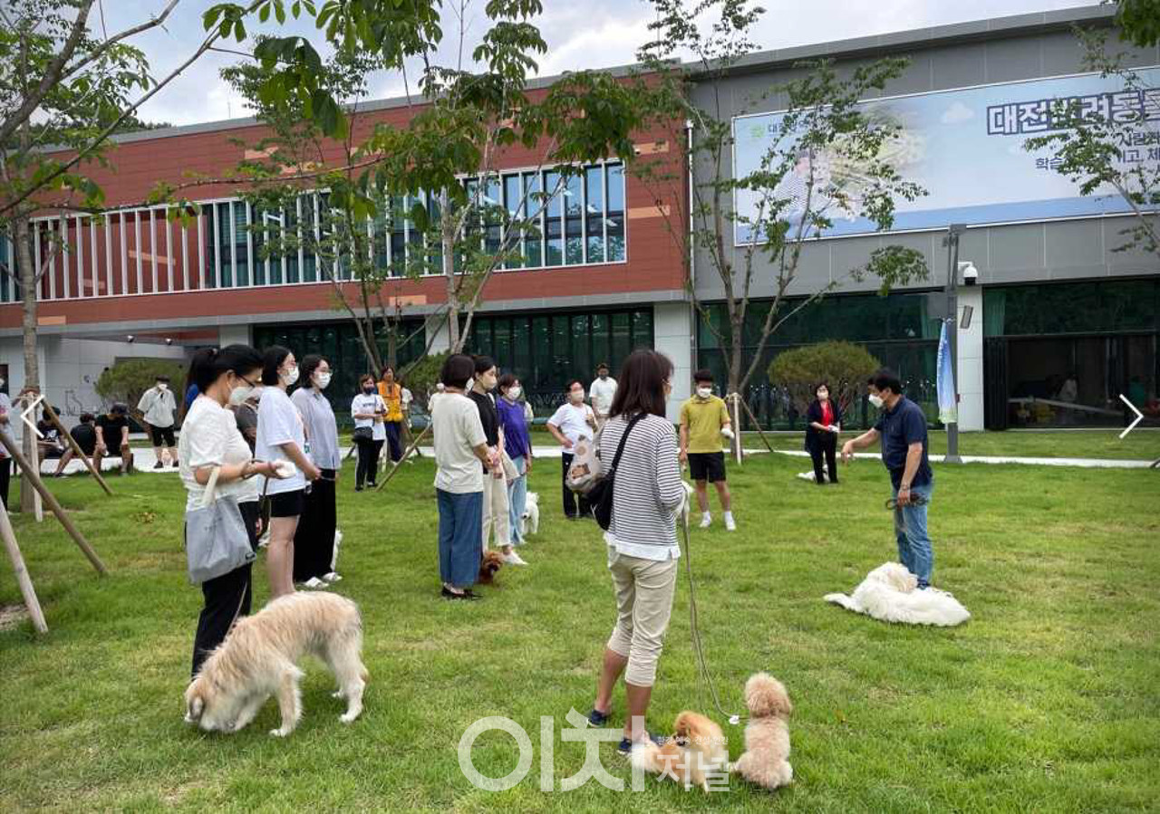 반려동물 에티켓 및 양육 상담 교육 중 산책 교육 (자료제공 : 대전반려동물공원)