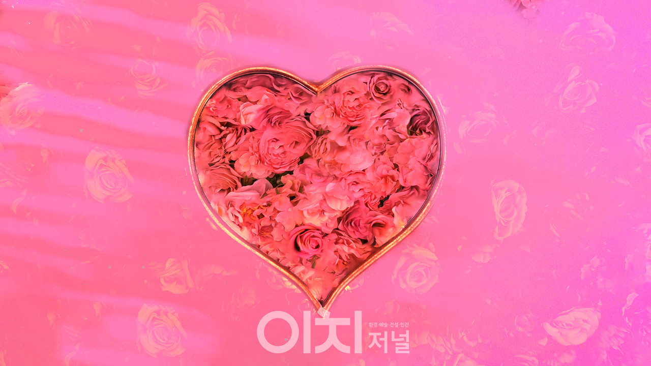 ⓒ이미지 제공 - 박미애 사진작가