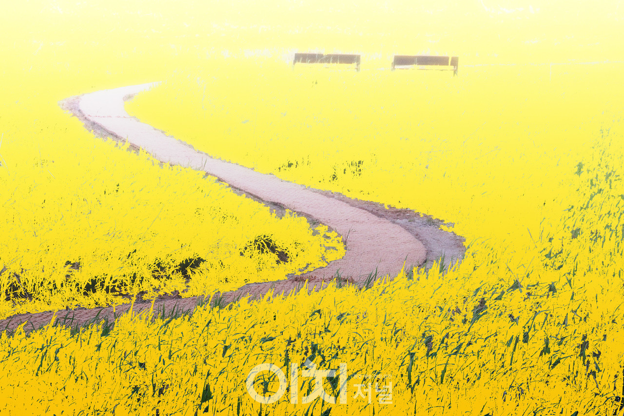 ⓒ이미지 제공 - 박미애 사진작가