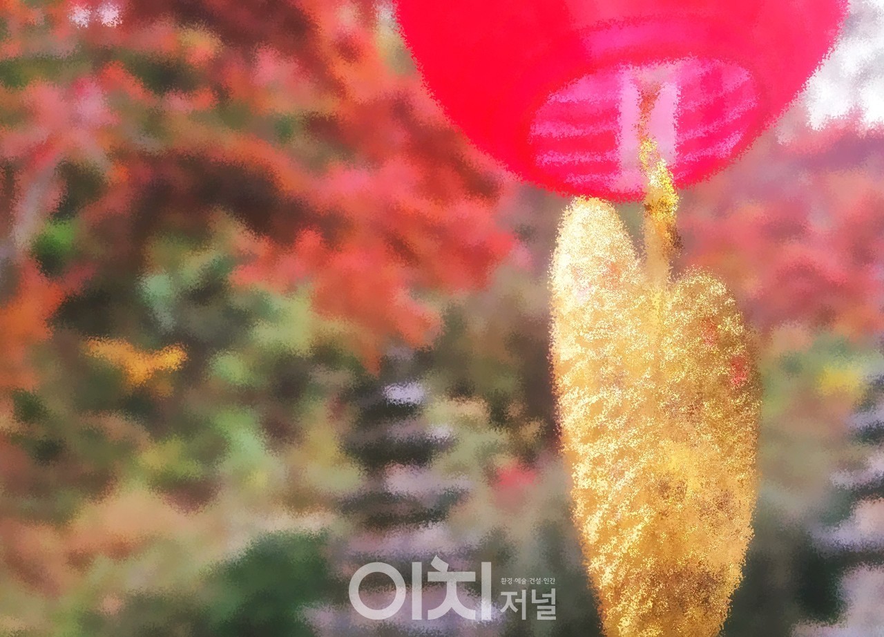 이미지 제공 - 박미애 사진작가