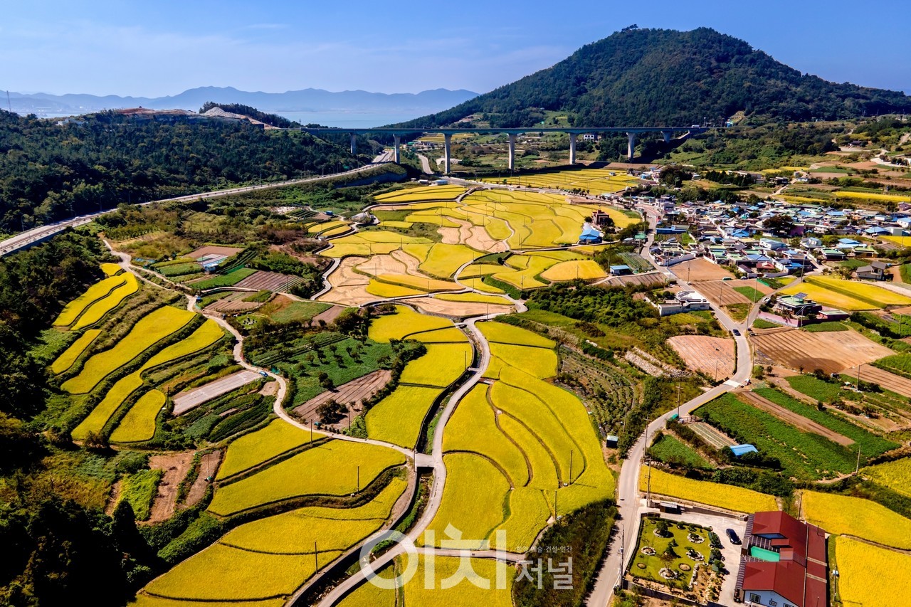 ⓒ촬영 : 김인재 사진작가