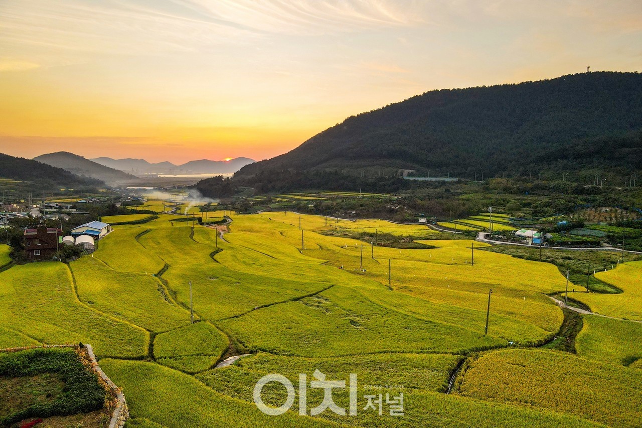 ⓒ촬영 : 김인재 사진작가