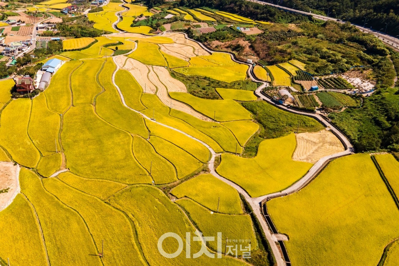 ⓒ촬영 : 김인재 사진작가