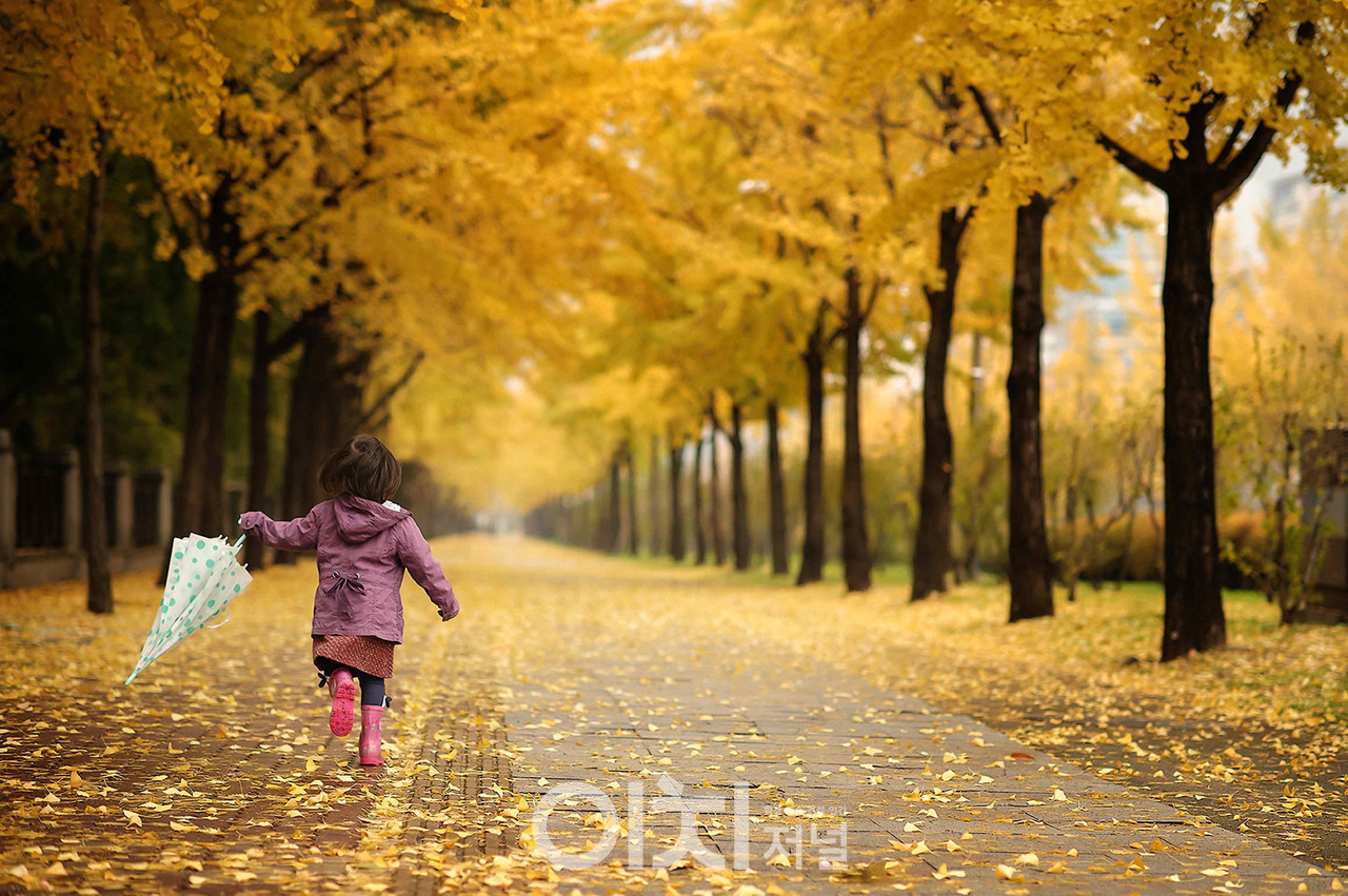 송파구 위례성길 (자료제공 : 서울시)