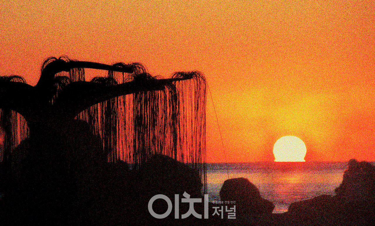 ⓒ이미지 제공 - 박미애 사진작가