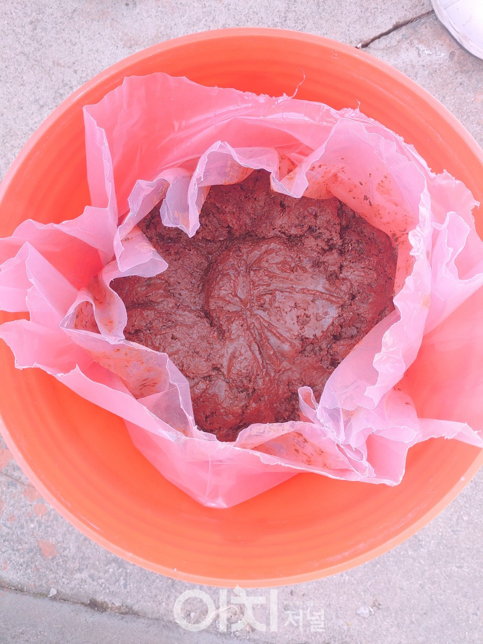 액젓김황백화 (자료제공 : 충청남도)