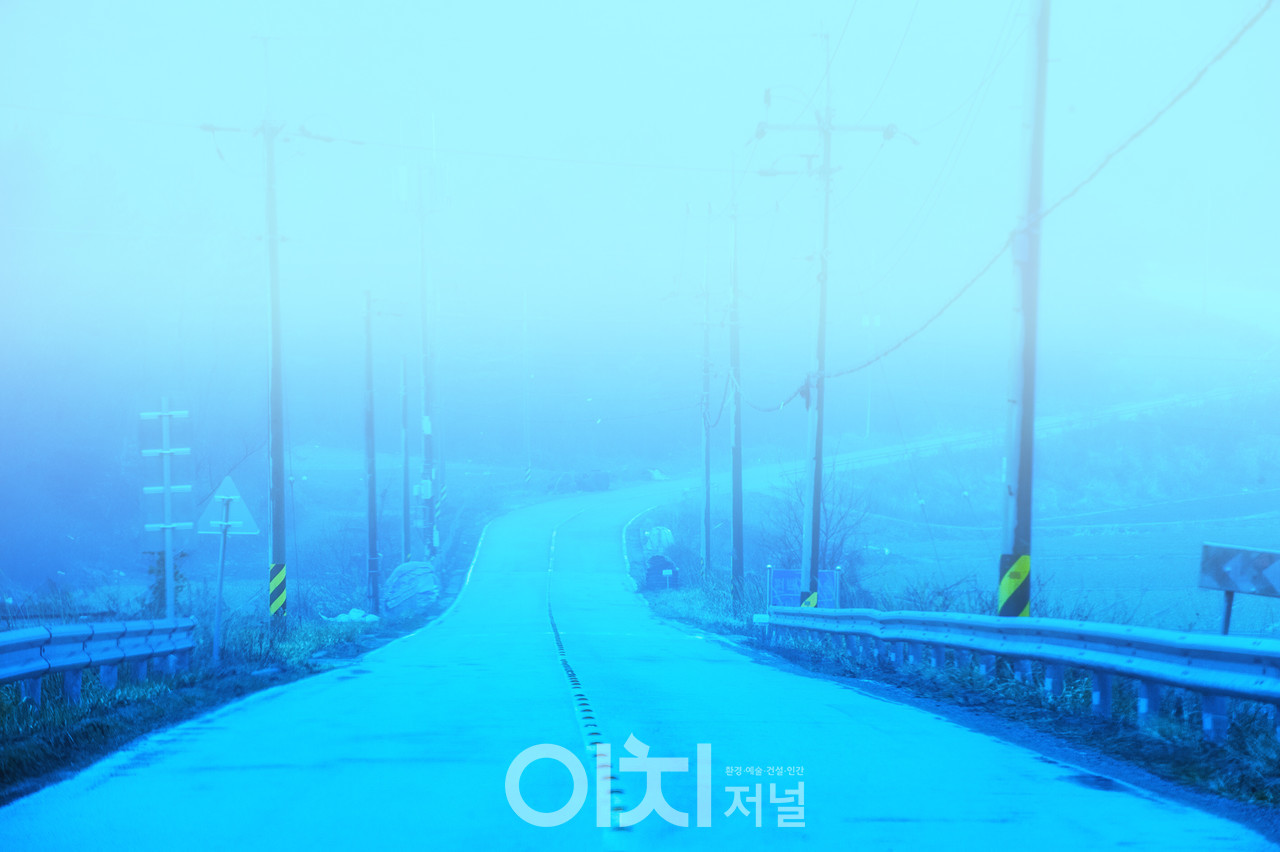 이미지 제공 - 박미애 사진작가