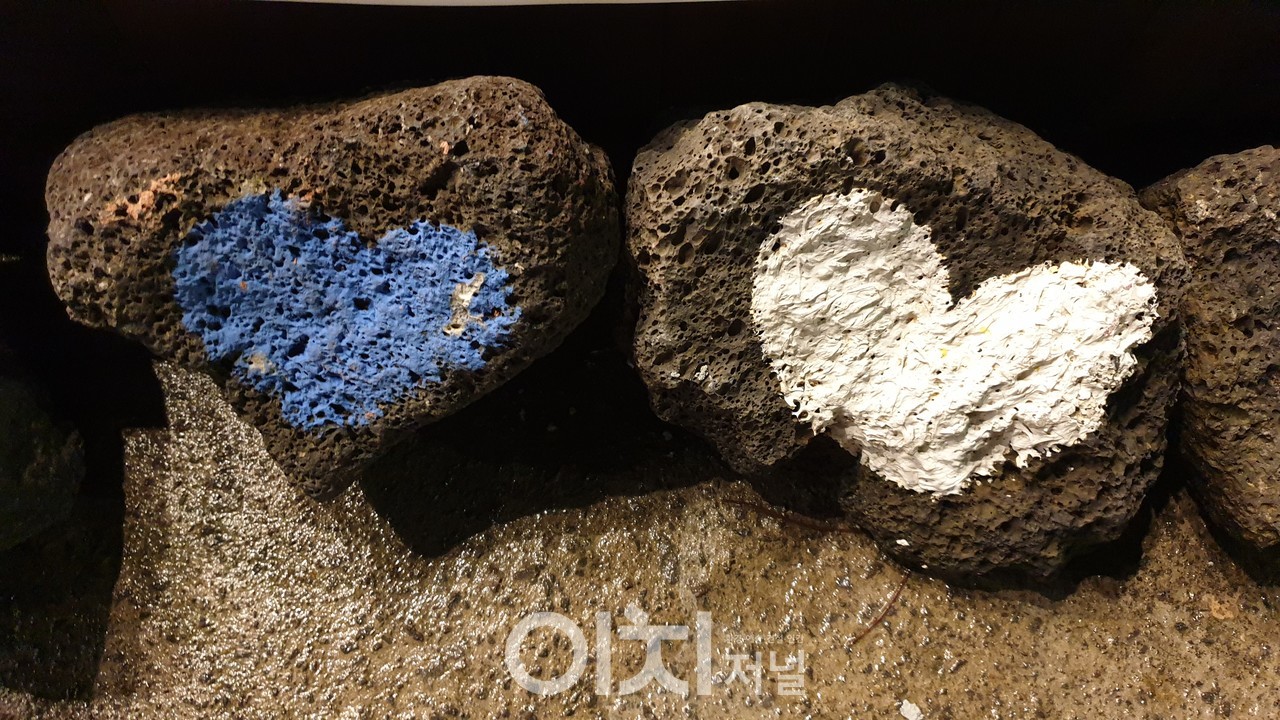 이미지 제공 - 박미애 사진작가