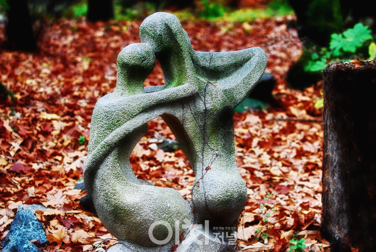 이미지 제공 - 박미애 사진작가