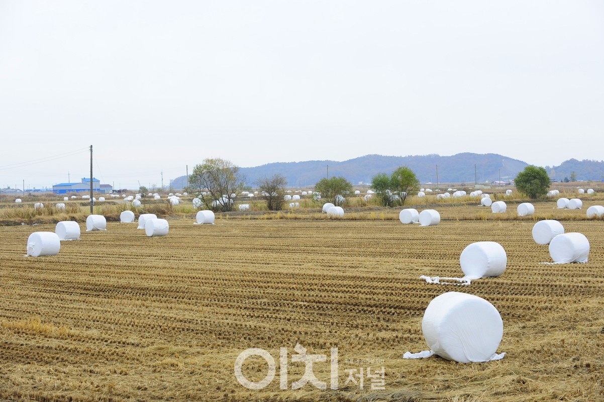 이미지 제공 - 박미애 사진작가