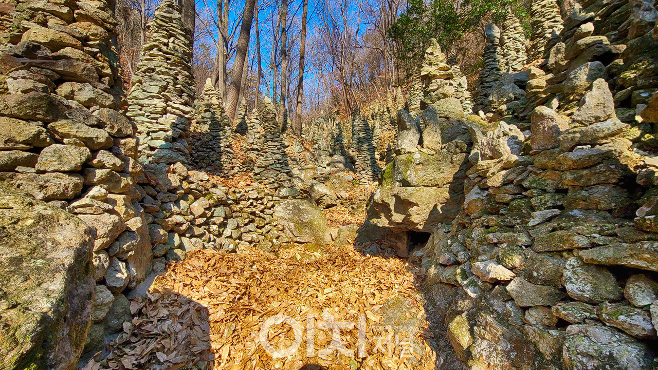 이미지 제공 - 박미애 사진작가