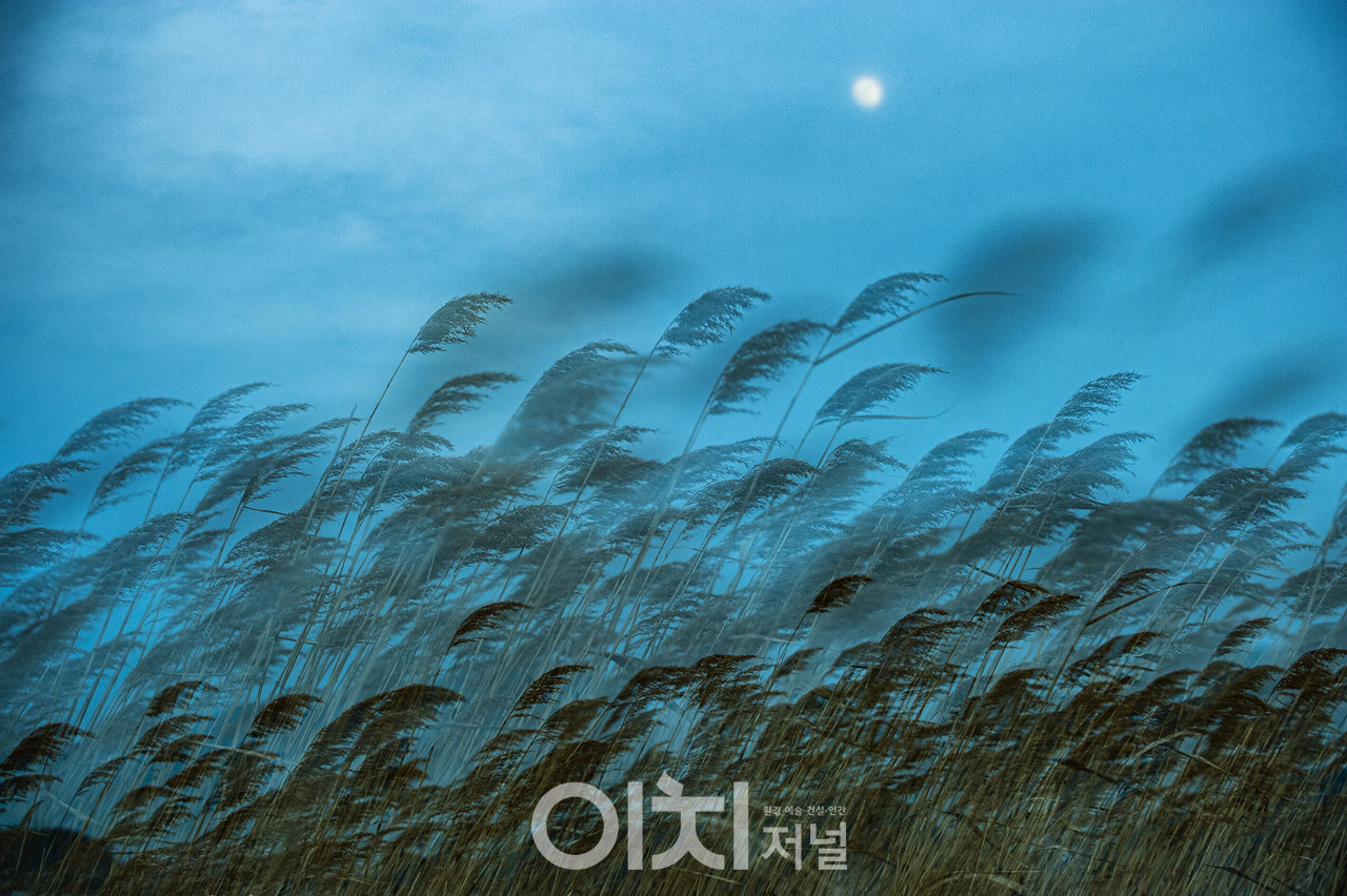 이미지 제공 - 박미애 사진작가