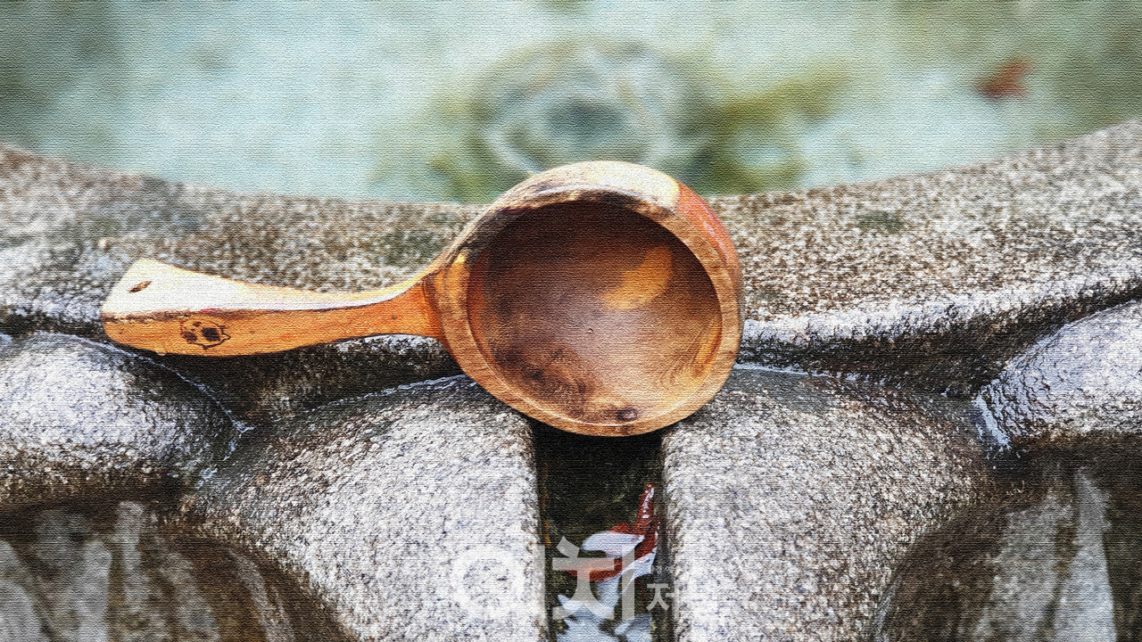 이미지 제공 - 박미애 사진작가